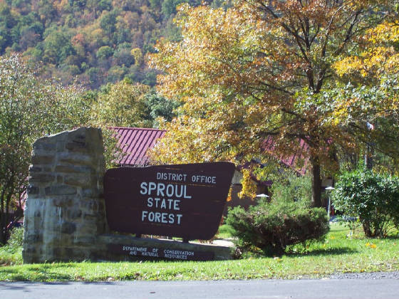 Renovo_Pa/sproul_state_forest.jpg